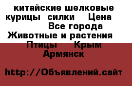 китайские шелковые курицы (силки) › Цена ­ 2 500 - Все города Животные и растения » Птицы   . Крым,Армянск